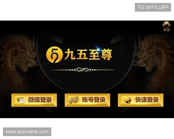 九五至尊电子充值方式多样化支持多平台多渠道便捷充值体验