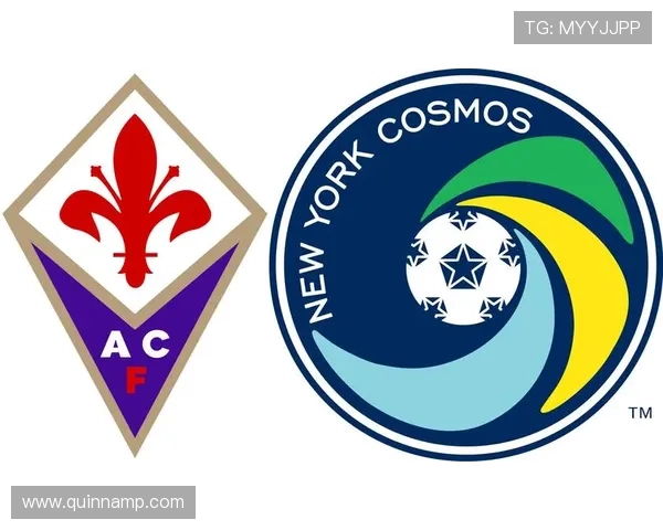 星空体育网站信誉好,选择信誉优良体育网站的五大实用指南